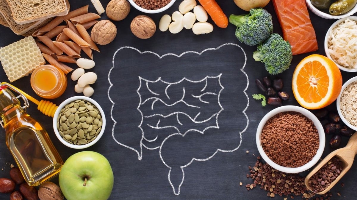 An illustration of the human gut on a chalkboard, surrounded by fiber-rich and gut-friendly foods such as vegetables, legumes, nuts, seeds, oatmeal, olive oil, bread, broccoli, salmon, and oranges.