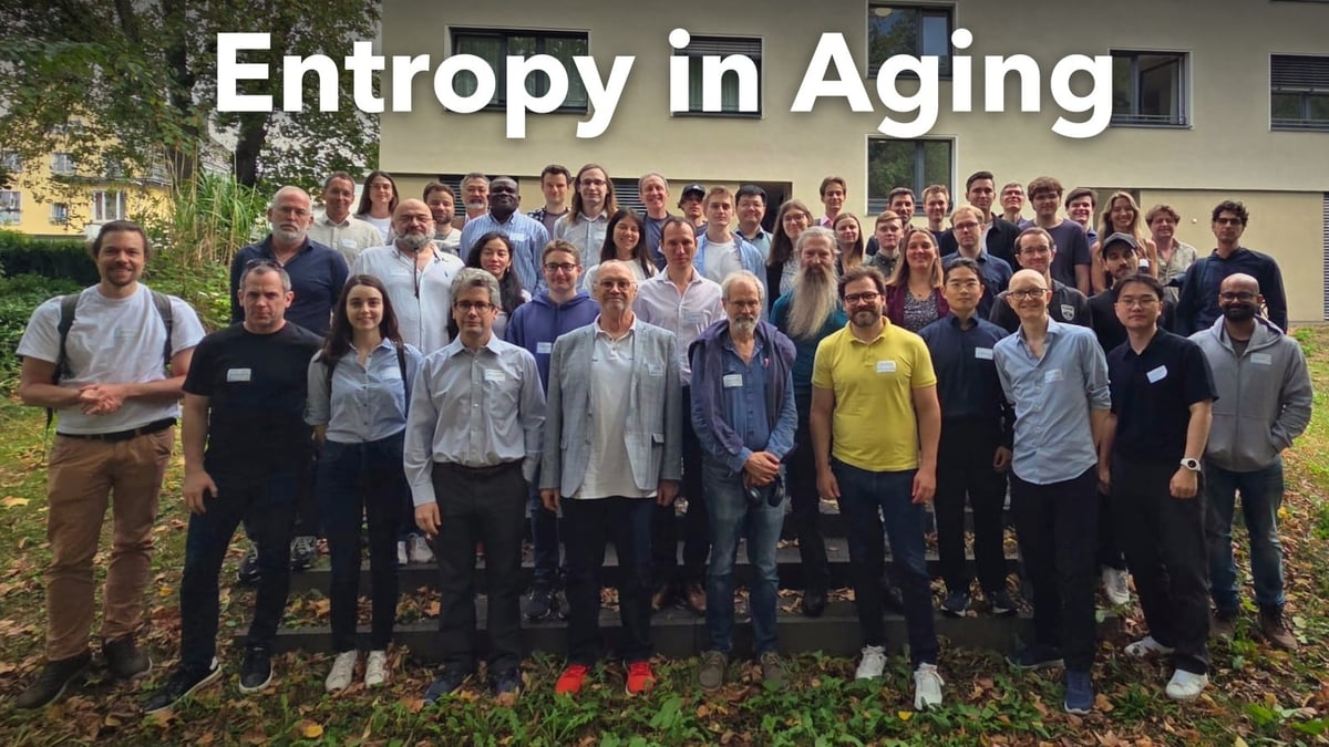 Entropy in Aging: Notes From Two Days in Cologne