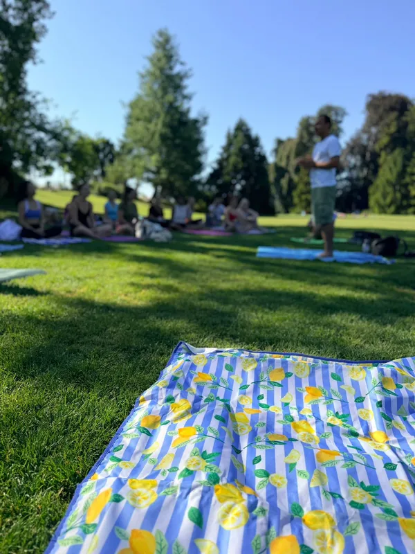 THE LONGEVITY RESET: Breathwork, Yoga & Picnic — 6