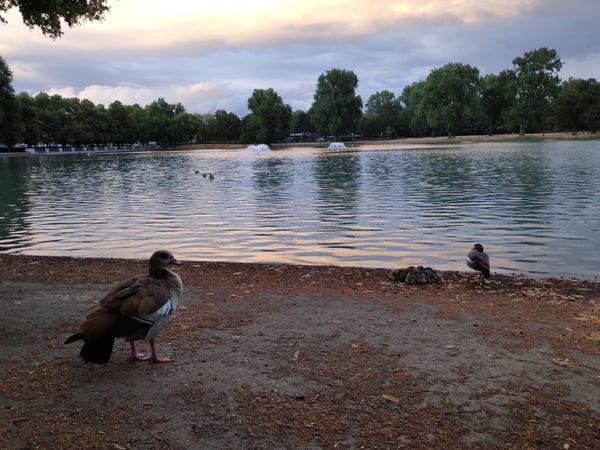 Longevity Picnic and Chats — photo 2