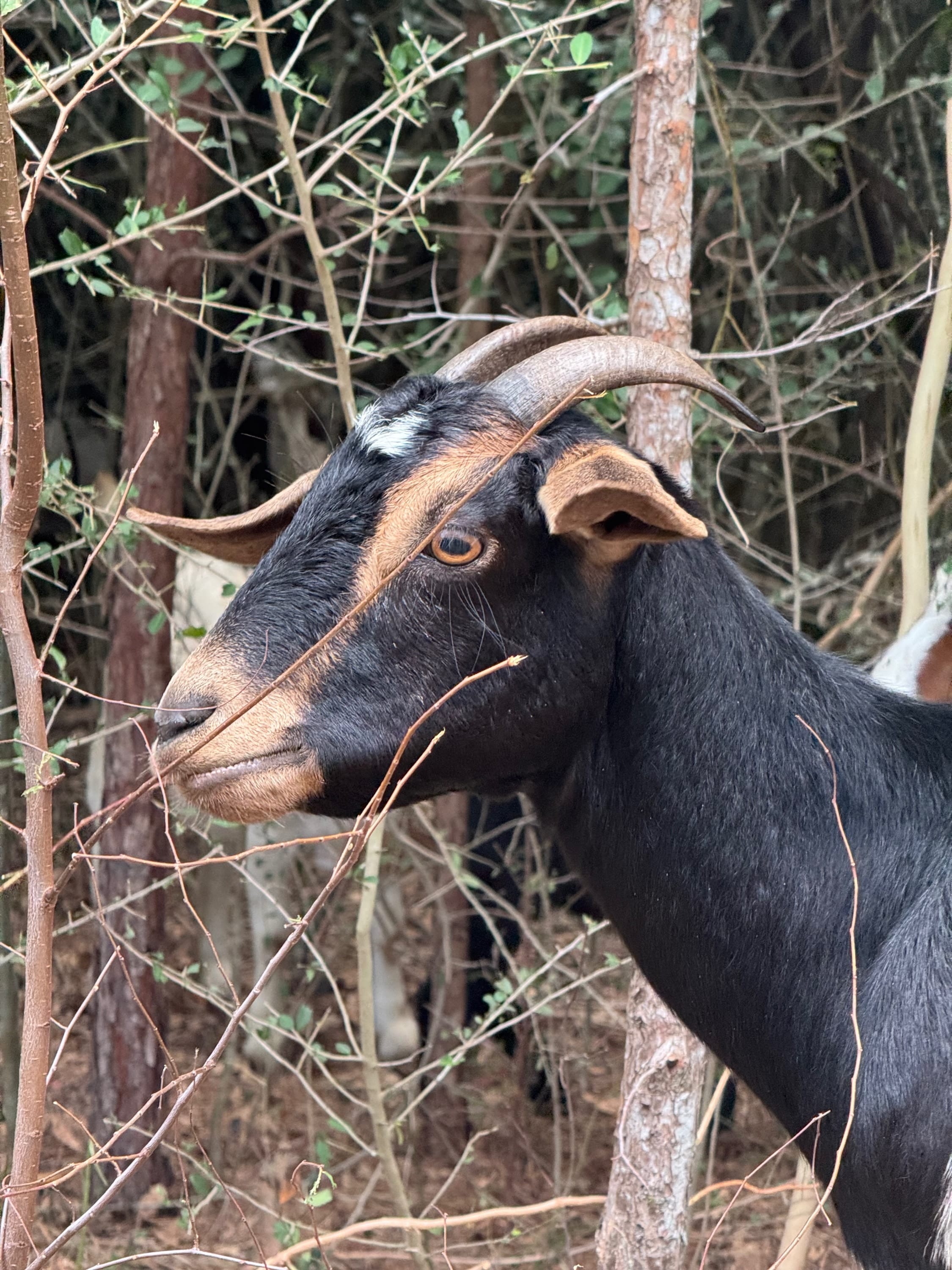 Arboretum City Hike! — photo 4