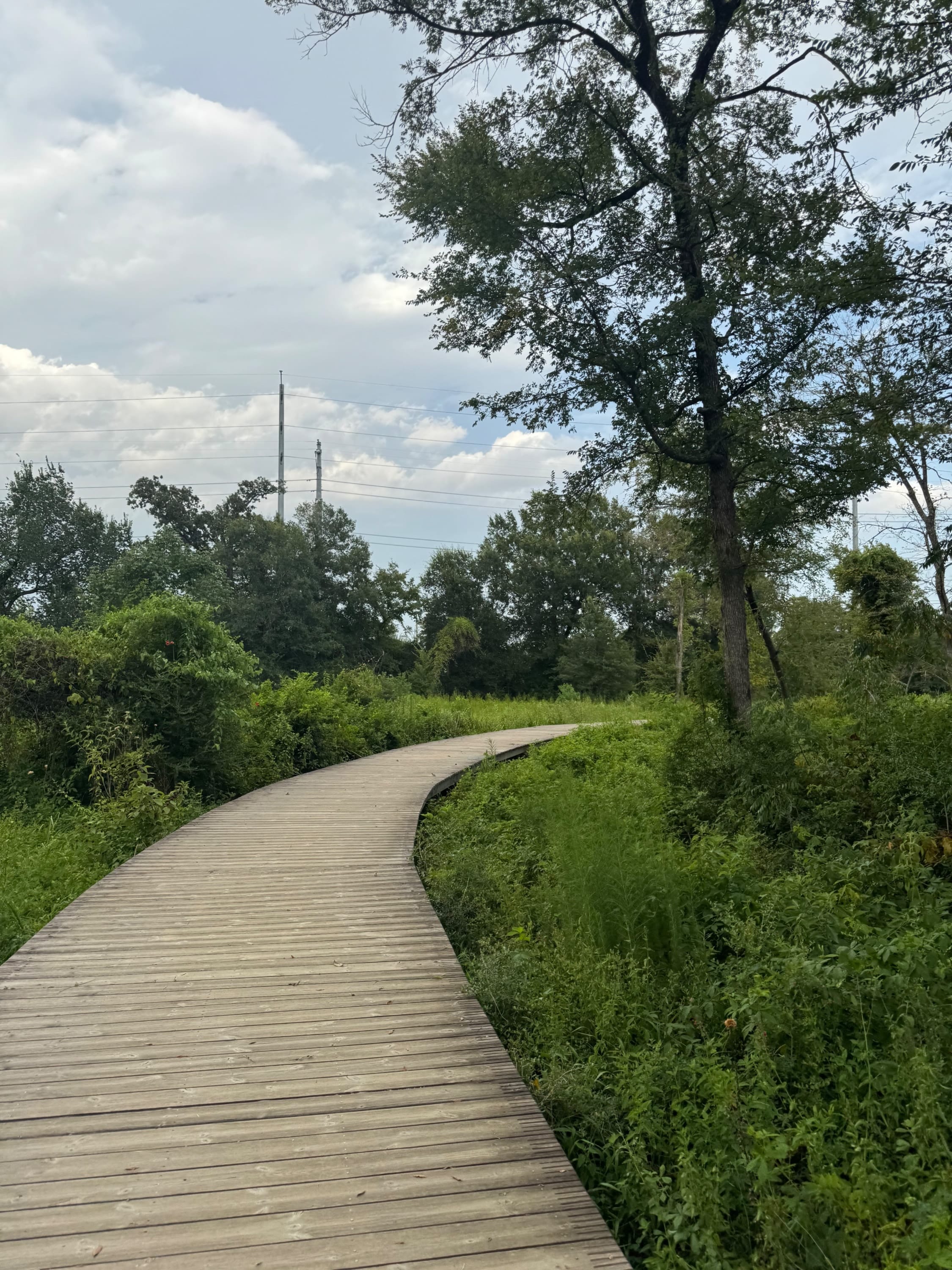 Arboretum City Hike! — photo 3
