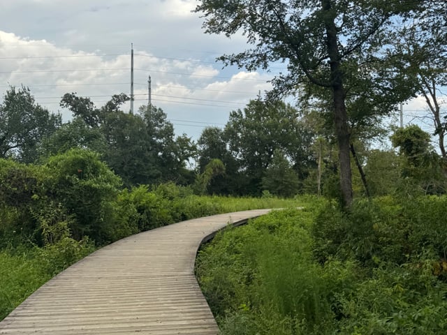 Arboretum City Hike! — photo 3
