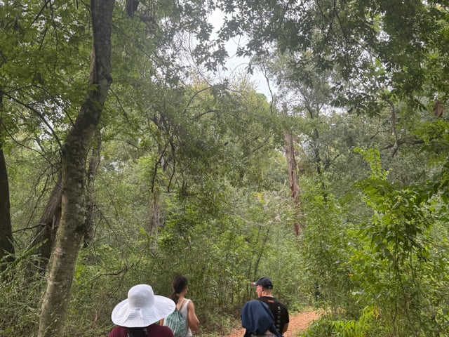 Arboretum City Hike! — photo 2