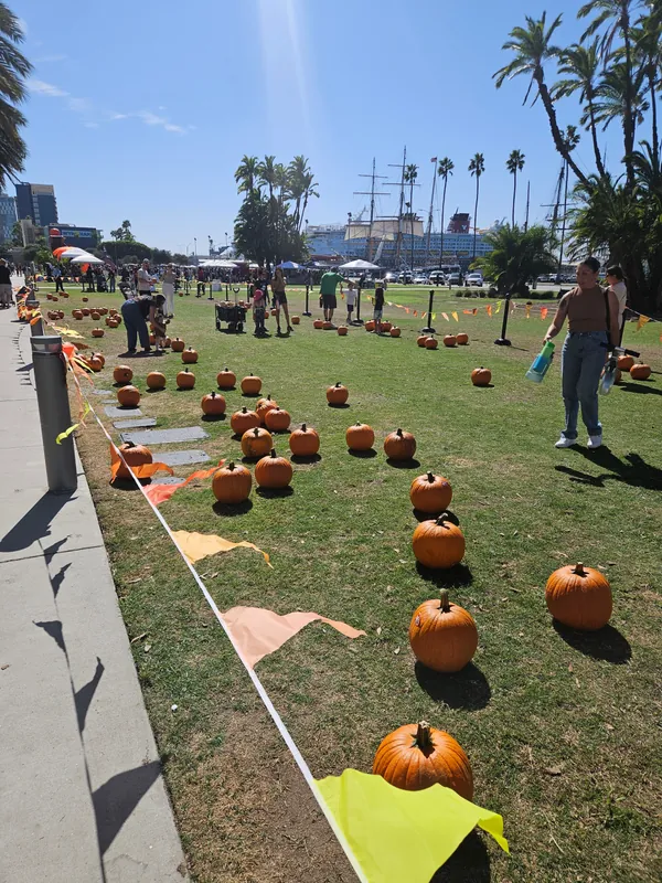 Matcha & Walk with Longevity San Diego — 2