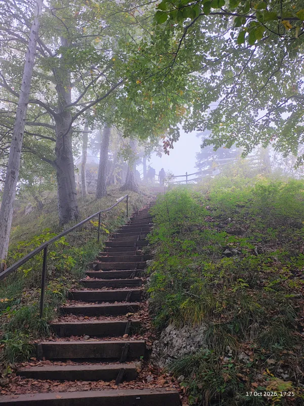 Sunset Hike: Riederstein | NymphenRuns x Longevity Munich — 7