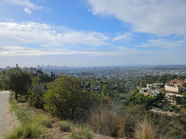 Griffith Observatory Hike with Longevity Cities & Don't Die LA  — 3