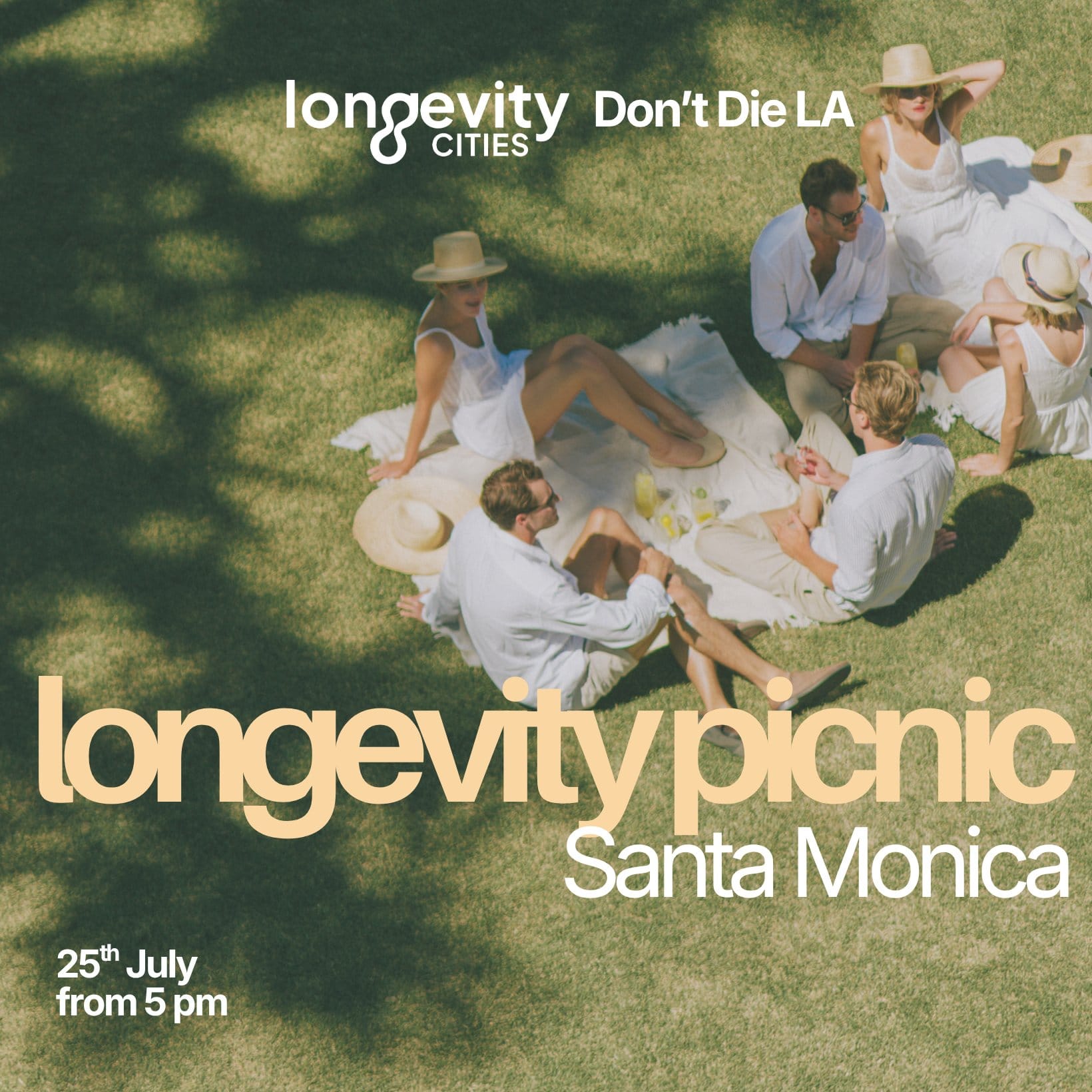 Longevity Picnic in Santa Monica