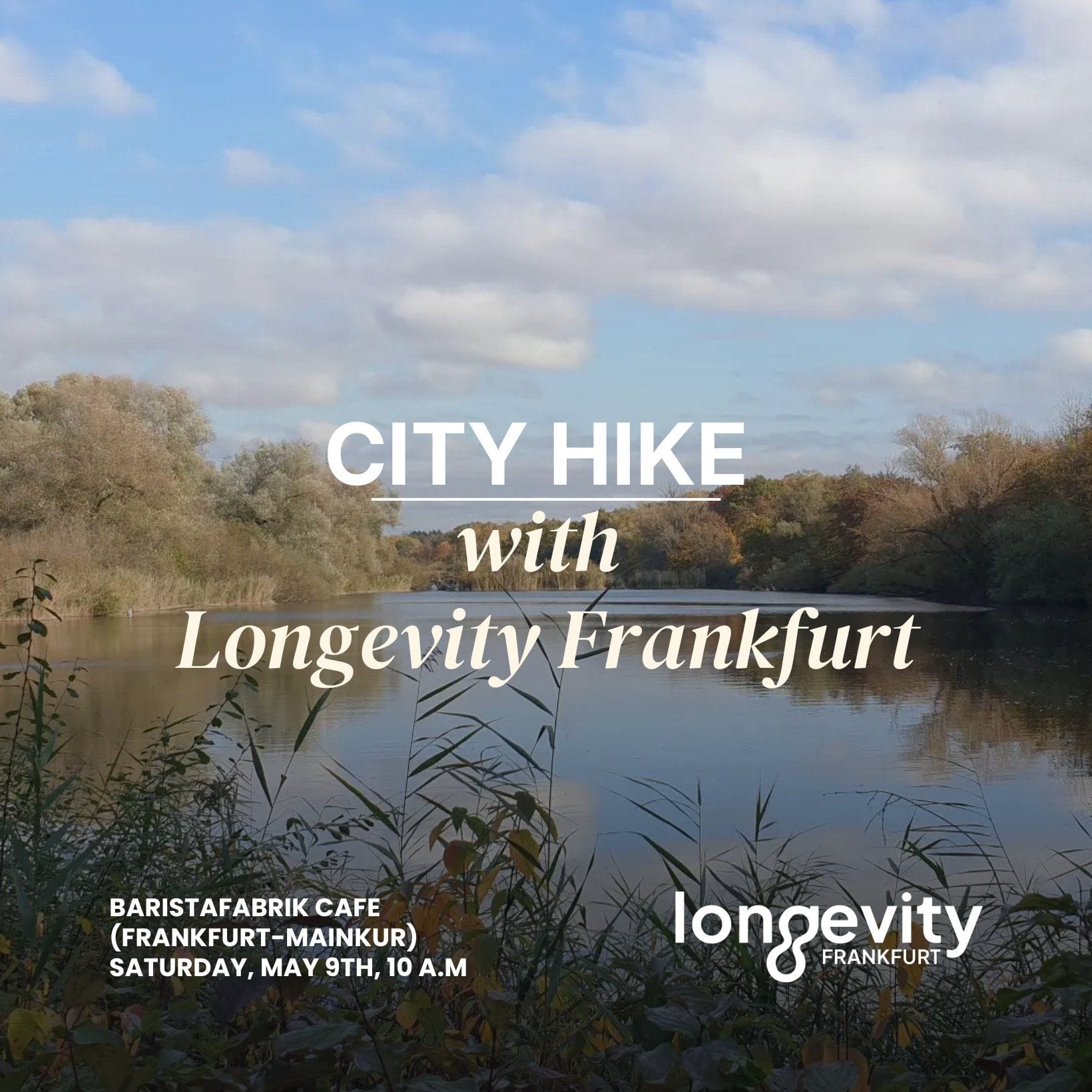 City Hike with Longevity Frankfurt
