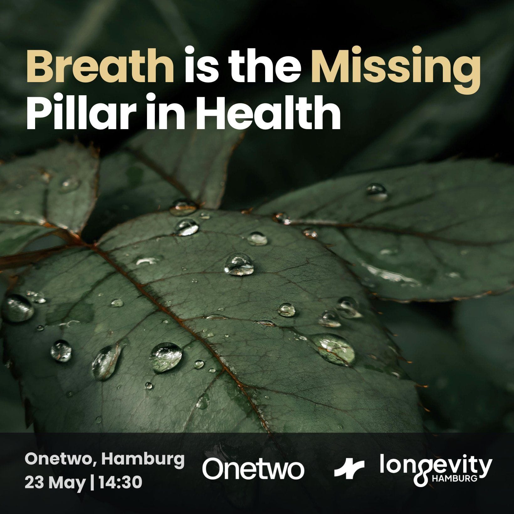 Breath is the Missing Pillar in Health
